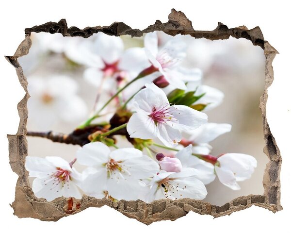 Samolepící nálepka na zeď Květy višně nd-k-100965392