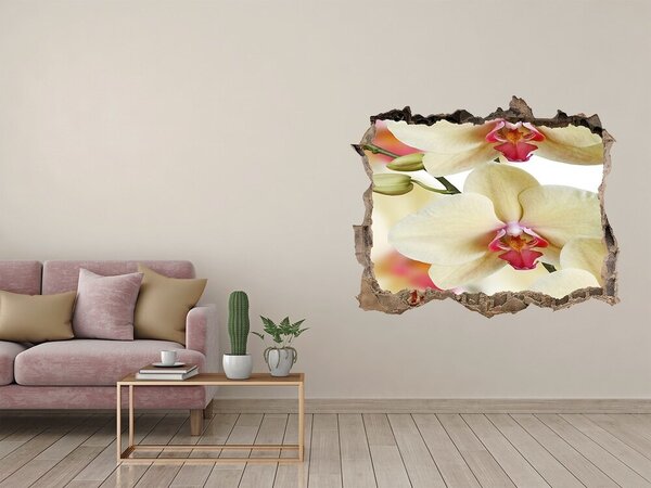 Fototapeta nálepka na zeď Orchidej nd-k-102443917