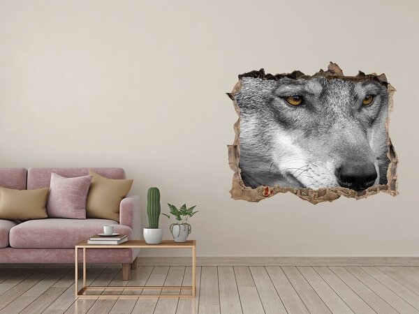 Díra 3D fototapeta na stěnu nálepka Vlk nd-k-103311727