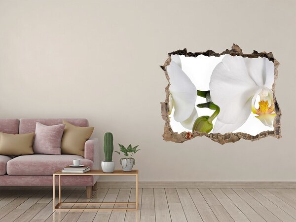 Samolepící nálepka fototapeta Orchidej nd-k-103920801