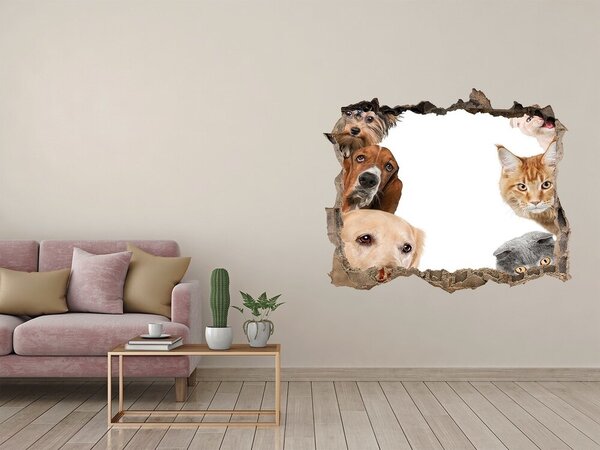 Díra 3D fototapeta na stěnu Psi a kočky nd-k-104206550