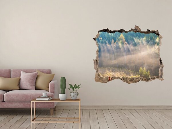 Fototapeta díra na zeď Mlha v lese nd-k-104886541