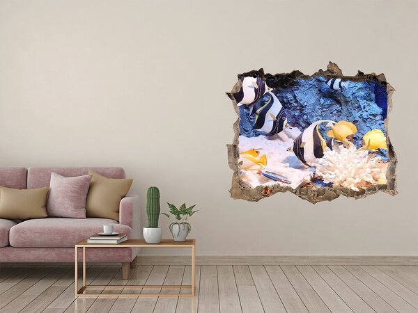 Díra 3D fototapeta nálepka Korálový útes nd-k-105919456