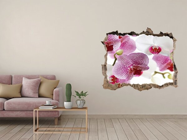 Fototapeta nálepka na zeď Fototapeta orchidej nd-k-107506962
