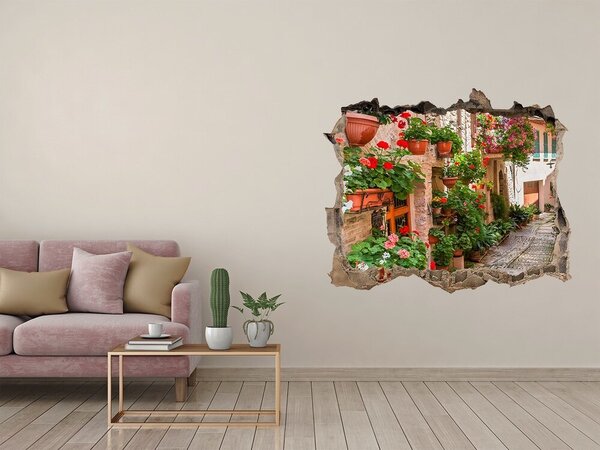 Fototapeta díra na zeď Italské uličky nd-k-108008671