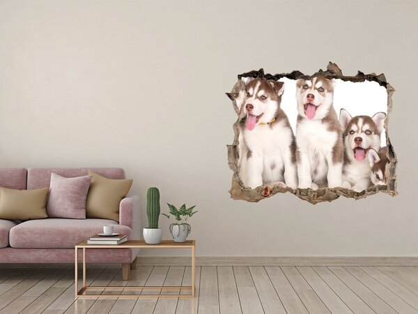 Díra 3D fototapeta nálepka Štěně Husky nd-k-110309501