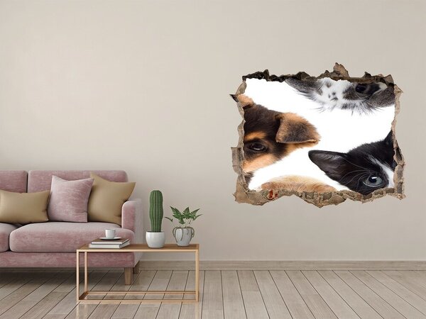 Díra 3D fototapeta na stěnu Domácí zvířata nd-k-111140869
