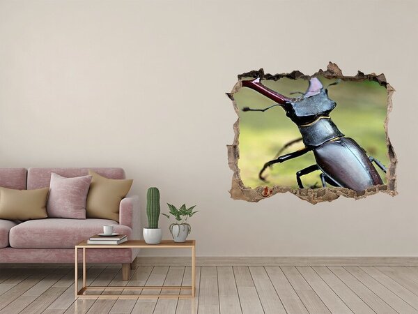 Díra 3D fototapeta na stěnu Brouk nd-k-111879118