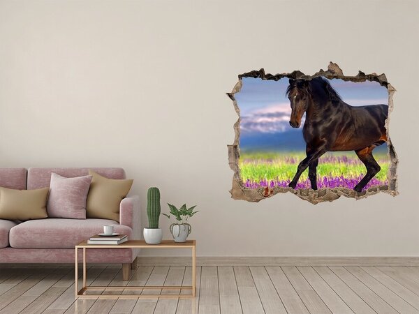 Fototapeta díra na zeď Kůň na poli levandule nd-k-113343357