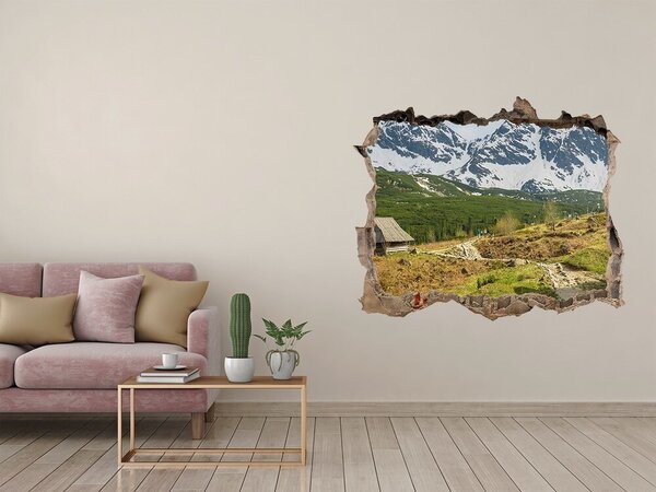 Díra 3D ve zdi na stěnu Tatry nd-k-112559198