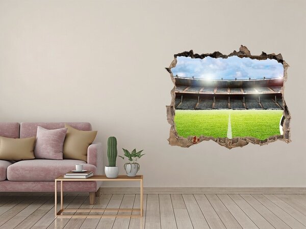 Fototapeta díra na zeď 3D Míč na hřišti nd-k-116418833
