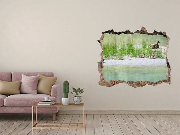 Díra 3D fototapeta nálepka Kachny nad vodou nd-k-118398690
