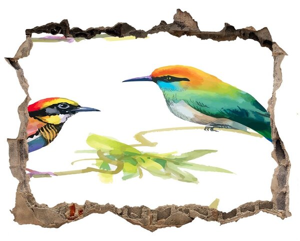 Díra 3D fototapeta na stěnu Egzotičtí ptáci nd-k-119482141