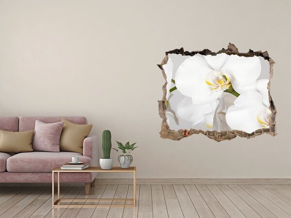 Samolepící nálepka na zeď Orchidej nd-k-133396361
