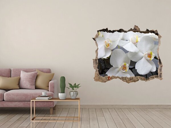Samolepící nálepka fototapeta Orchidej nd-k-143985624