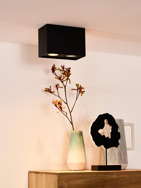 Lucide 22953/02/30 stropní bodové svítidlo Tube 2x50W | GU10 - černá, nastavitelné, stmívatelné