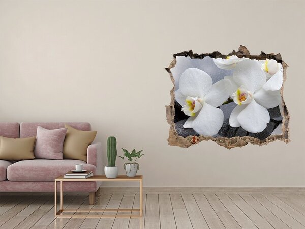 Samolepící nálepka fototapeta Orchidej nd-k-144310520