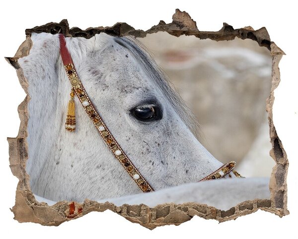 Díra 3D fototapeta nálepka Bílý arabský kůň nd-k-143185113