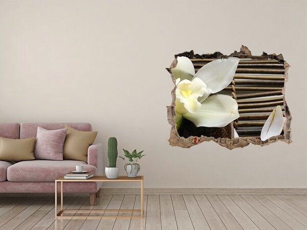 Fototapeta nálepka na zeď Fototapeta orchidej nd-k-14760003