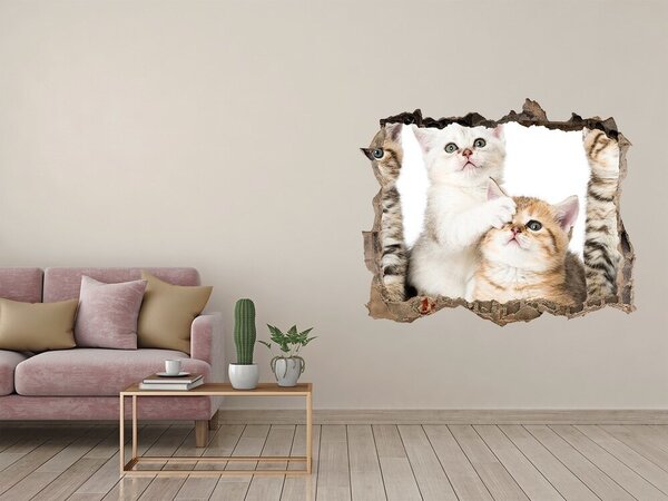 Díra 3D fototapeta nástěnná Nálepka koťátka nd-k-162169974