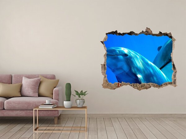 Díra 3D fototapeta nástěnná Dva delfíni nd-k-16277956