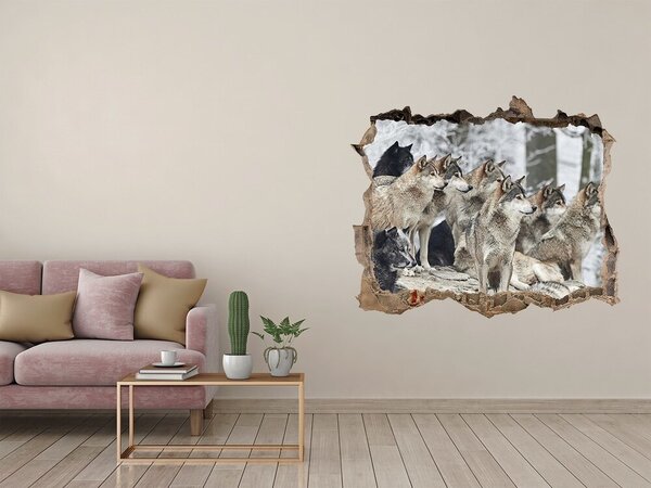 Díra 3D fototapeta nástěnná Nálepka vlci zimou nd-k-171243935