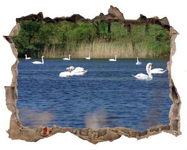 Díra 3D fototapeta nálepka Bílé labutě nd-k-203819741