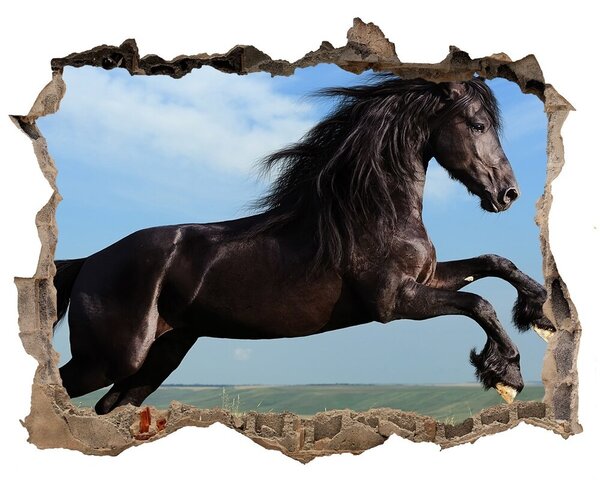 Díra 3D fototapeta na stěnu Černý kůň na louce nd-k-26473191