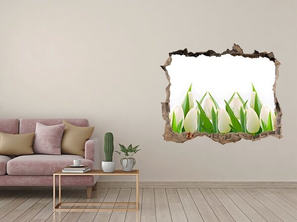 Samolepící nálepka fototapeta Bílé tulipány nd-k-30153186