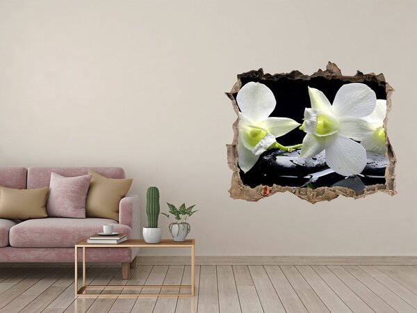 Samolepící nálepka fototapeta Orchidej nd-k-28908662