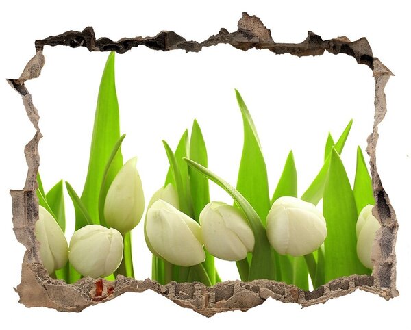 Samolepící nálepka na zeď Bílé tulipány nd-k-40774643