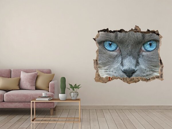 Díra 3D fototapeta na stěnu Koška modré oči nd-k-41430581