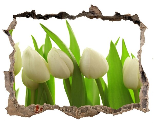 Samolepící nálepka na zeď Bílé tulipány nd-k-40774671
