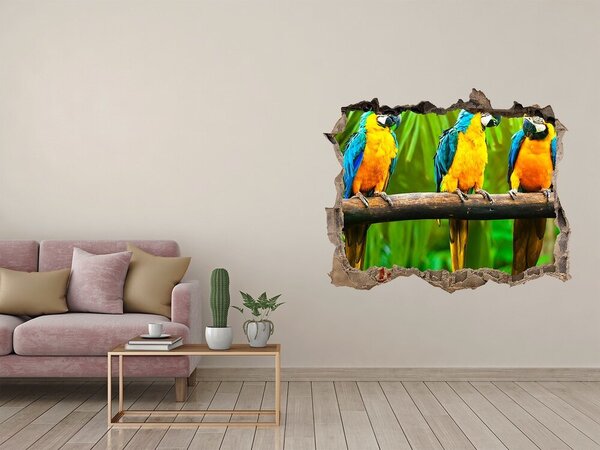 Díra 3D fototapeta na stěnu Papošci na větvi nd-k-42532067