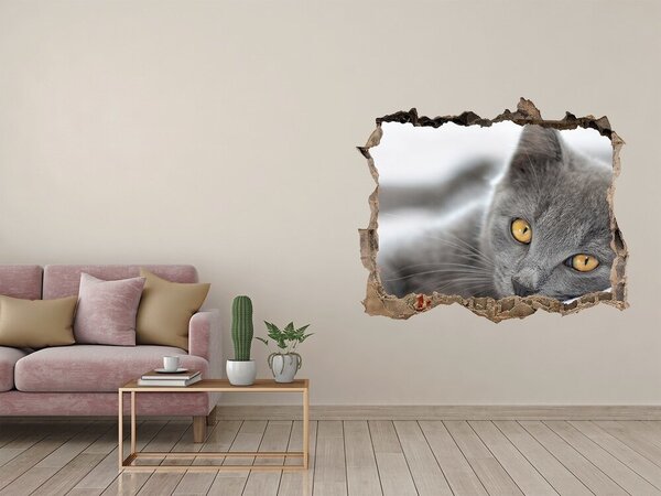 Díra 3D fototapeta nálepka Šedá kočka nd-k-43951156