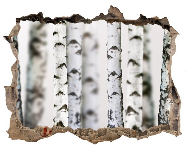 Fototapeta nálepka na zeď Kemny bříz nd-k-43264231