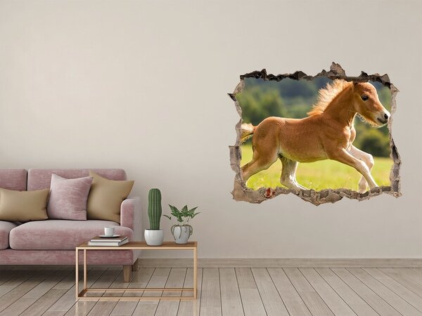Díra 3D fototapeta nálepka Hříbě ve cvalu nd-k-44307287