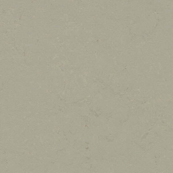 FORBO Marmoleum solid concrete Orbit 3724 - 2 bm