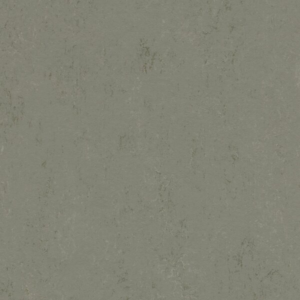 FORBO Marmoleum solid concrete Glacier 3755 - 2 bm