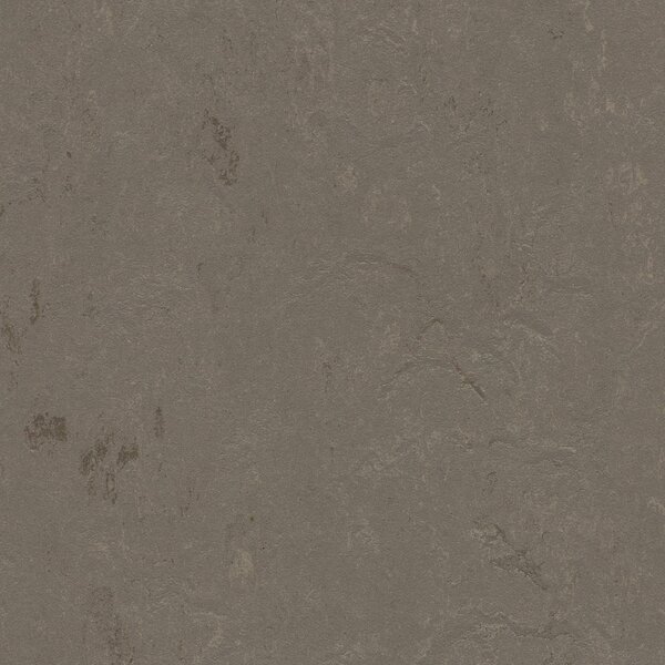 FORBO Marmoleum solid concrete Meteorite 3705 - 2 bm