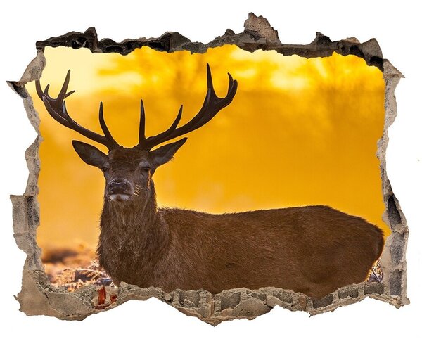 Díra 3D fototapeta na stěnu Jelen východ slunce nd-k-48250553
