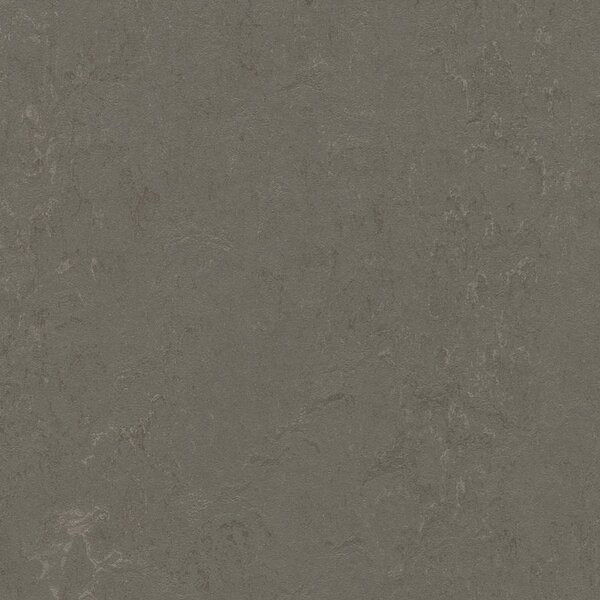 FORBO Marmoleum solid concrete Nebula 3723 - 2 bm