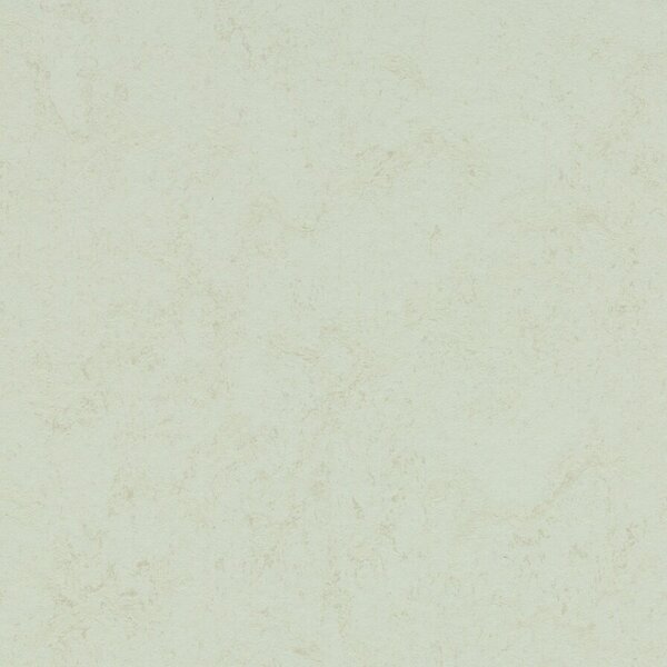 FORBO Marmoleum solid concrete Arctic 3749 - 2 bm