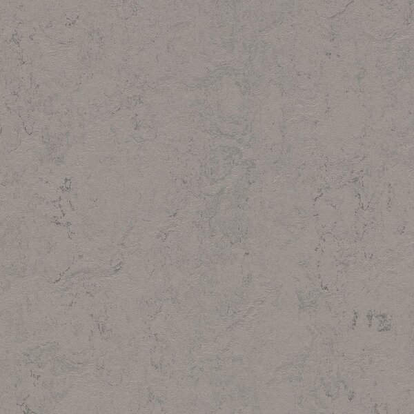 FORBO Marmoleum solid concrete Satelite 3704 - 2 bm
