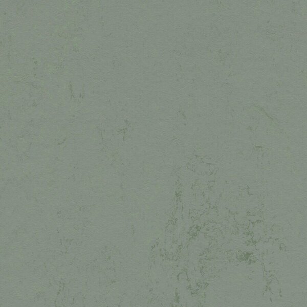 FORBO Marmoleum solid concrete Tundra 3751 - 2 bm