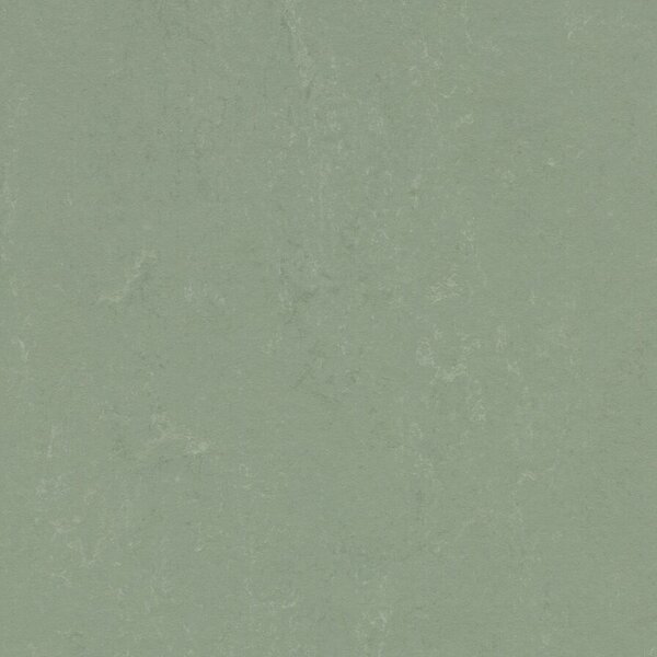FORBO Marmoleum solid concrete Pine forest 3750 - 2 bm