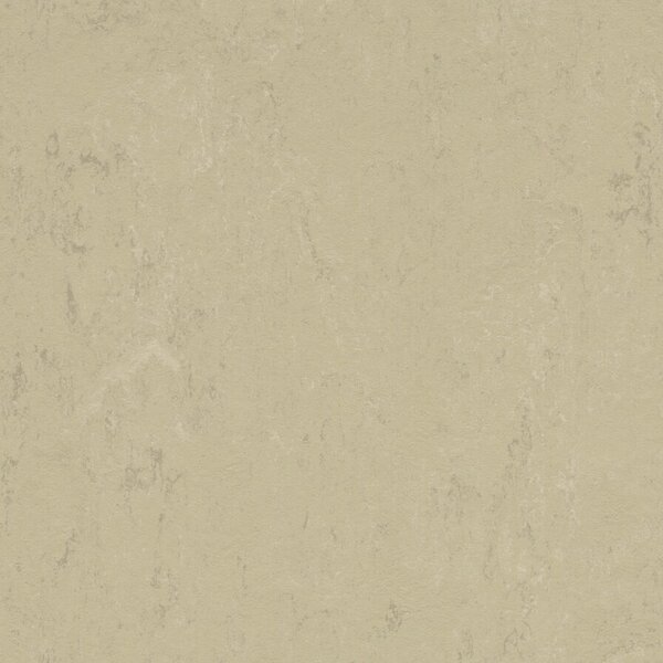 FORBO Marmoleum solid concrete Titan 3761 - 2 bm