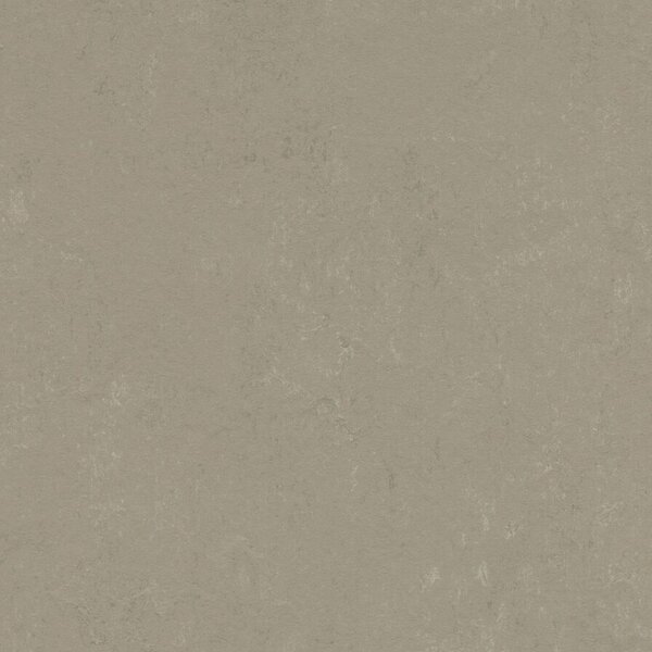 FORBO Marmoleum solid concrete Mercury 3759 - 2 bm