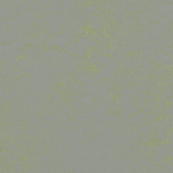 FORBO Marmoleum solid concrete Green shimmer 3736 - 2 bm