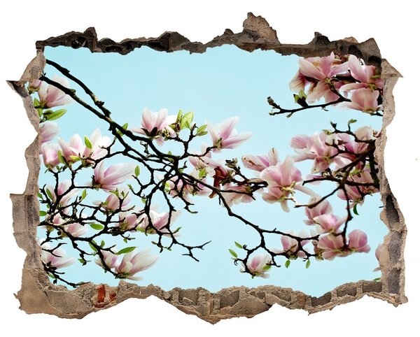 Samolepící díra nálepka Květy magnolie nd-k-52445180